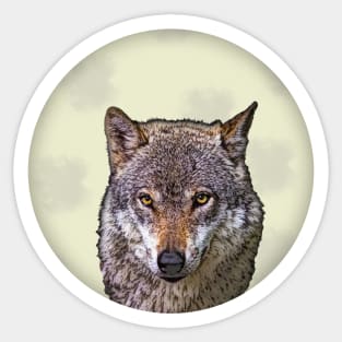 Wolf On Full Moon Sticker